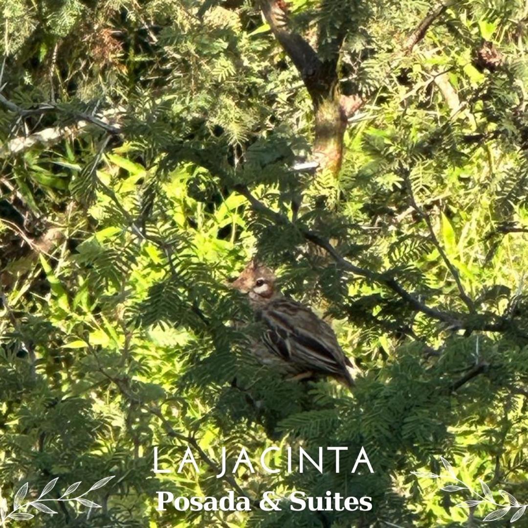 La Jacinta Posada Suites Santa Rosa de Calamuchita Luaran gambar